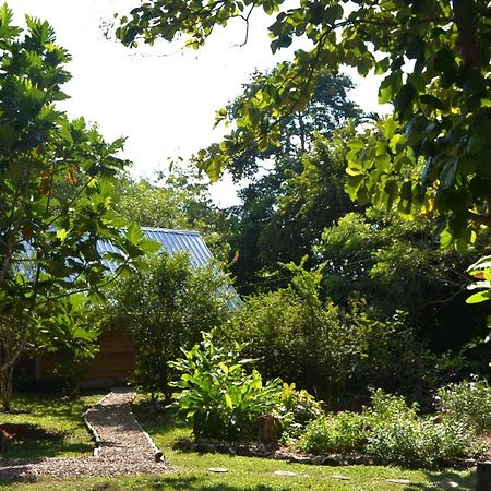 Iguana Roost Tourism Gold Standard Fully Equipped Two Bedroom Cabin San Ignacio Εξωτερικό φωτογραφία