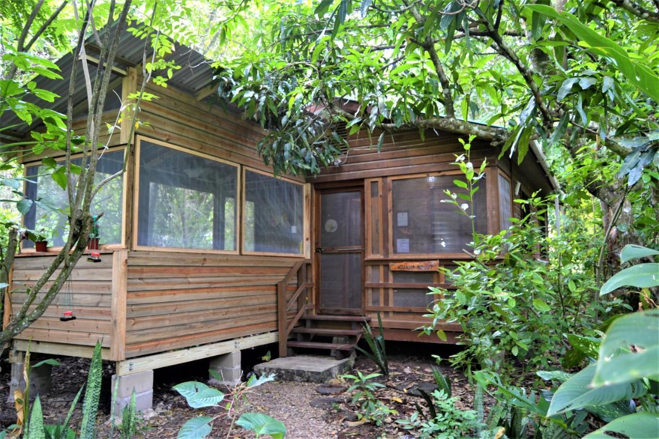 Iguana Roost Tourism Gold Standard Fully Equipped Two Bedroom Cabin San Ignacio Εξωτερικό φωτογραφία